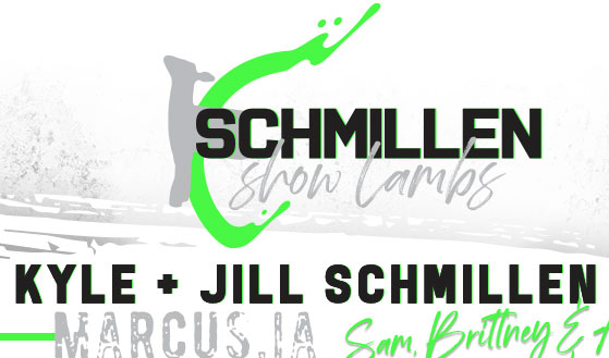 Schmillen Show Lambs