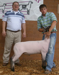 Reserve Hamp Right Start 7